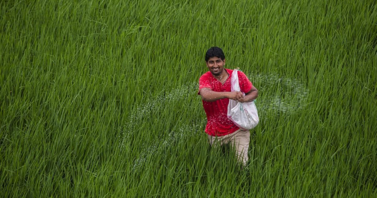 Scaling up and improving insurance schemes for farmers in India and Nigeria