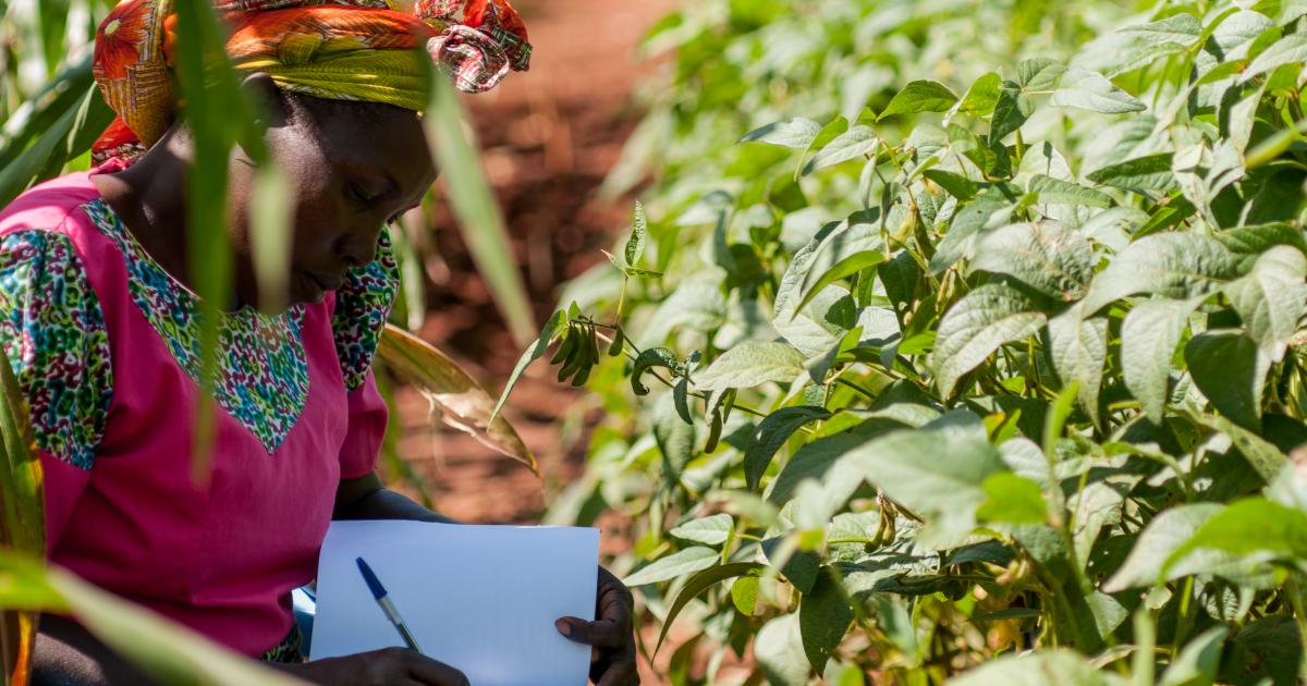 Setting an innovative vision for transforming agriculture and food ...