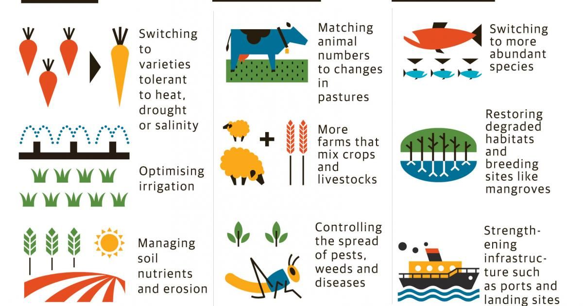 Climate change and farming: what you need to know about the IPCC report