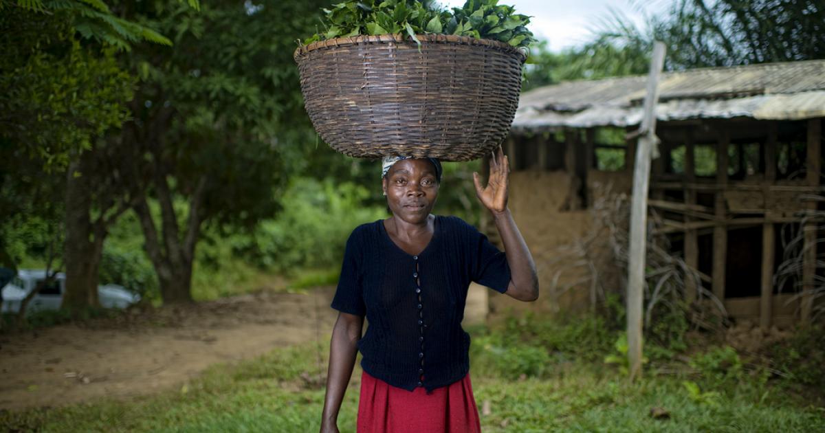 Gender-dimensions Of Climate-smart Agriculture: What Do We Really Know?