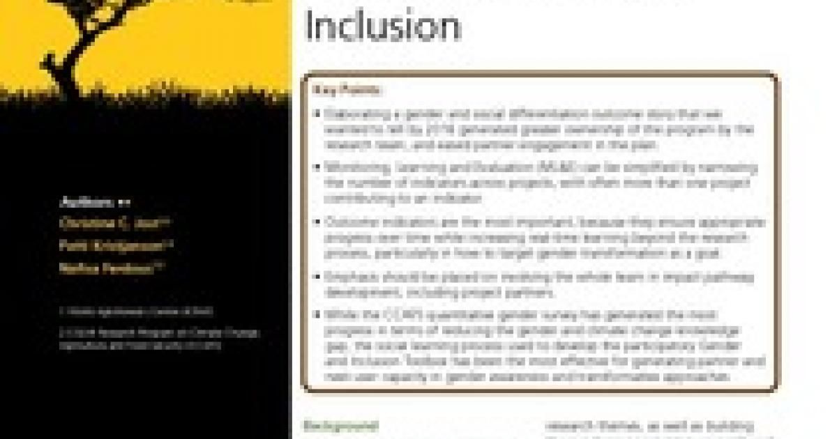 Lessons in Theory of Change: Gender and Inclusion