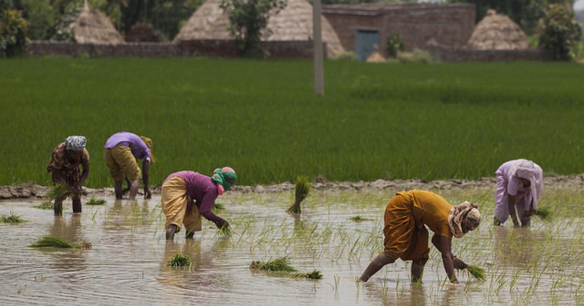 Women taking the lead on climate change adaptation